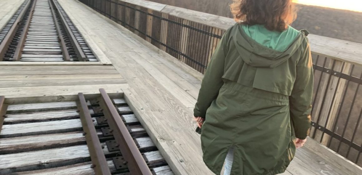 Kinzua Bridge State Park Skywalk