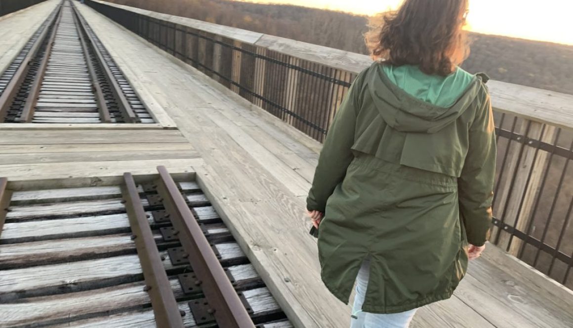 Kinzua Bridge State Park Skywalk