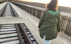 Kinzua Bridge State Park Skywalk